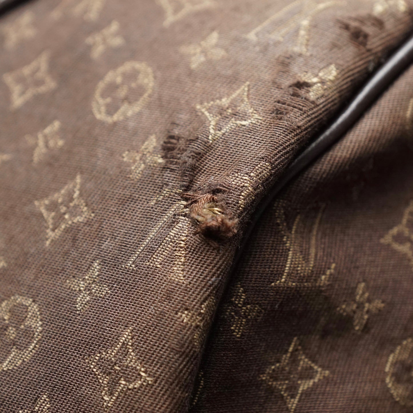 Louis Vuitton Speedy 30 Idylle