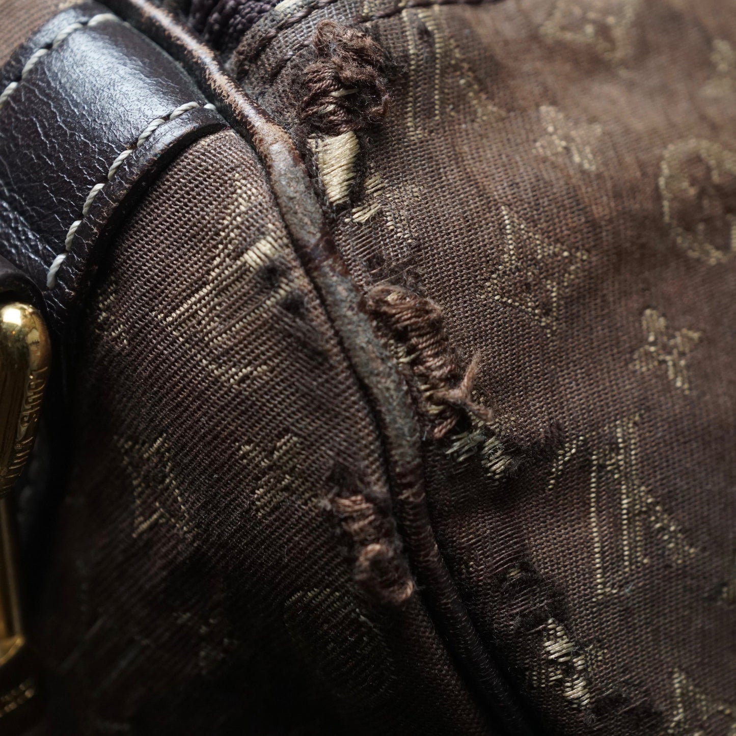 Louis Vuitton Speedy 30 Idylle