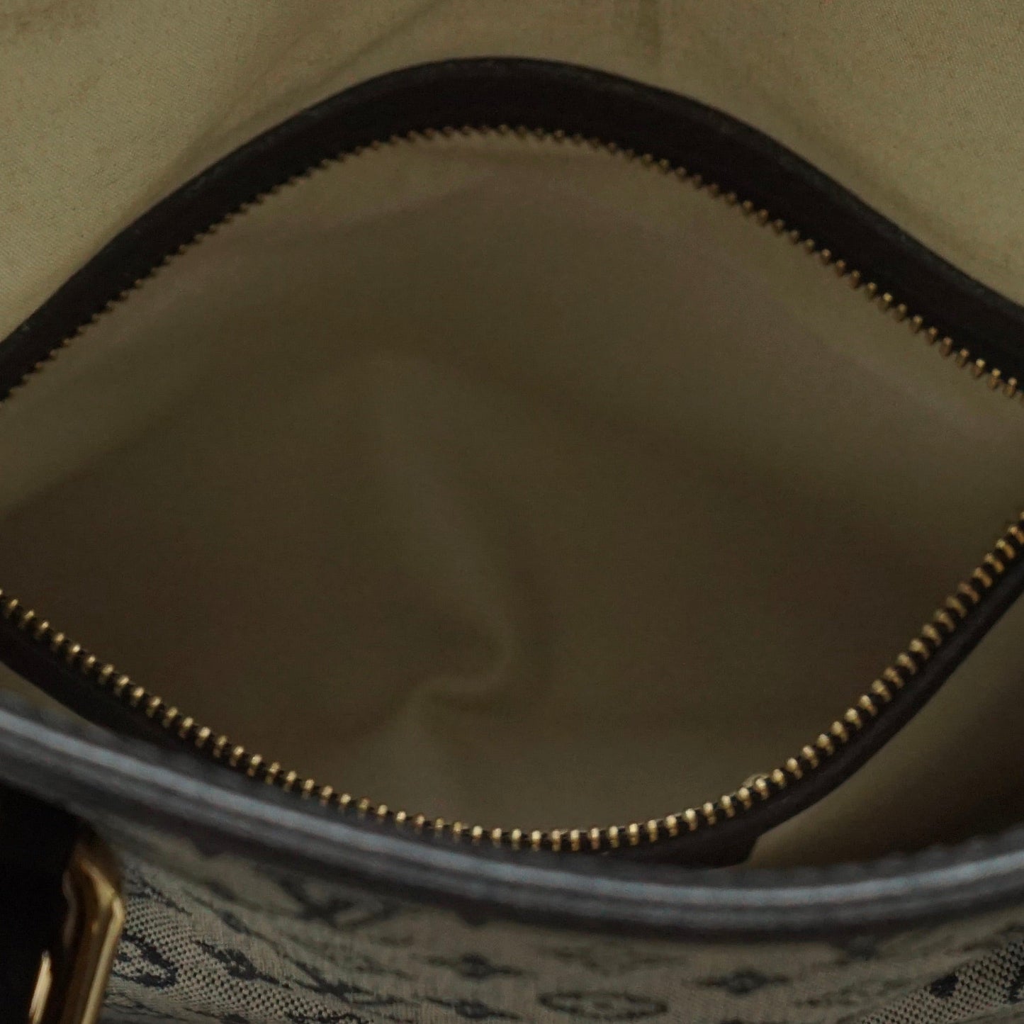 Louis Vuitton Francoise Mini Lin