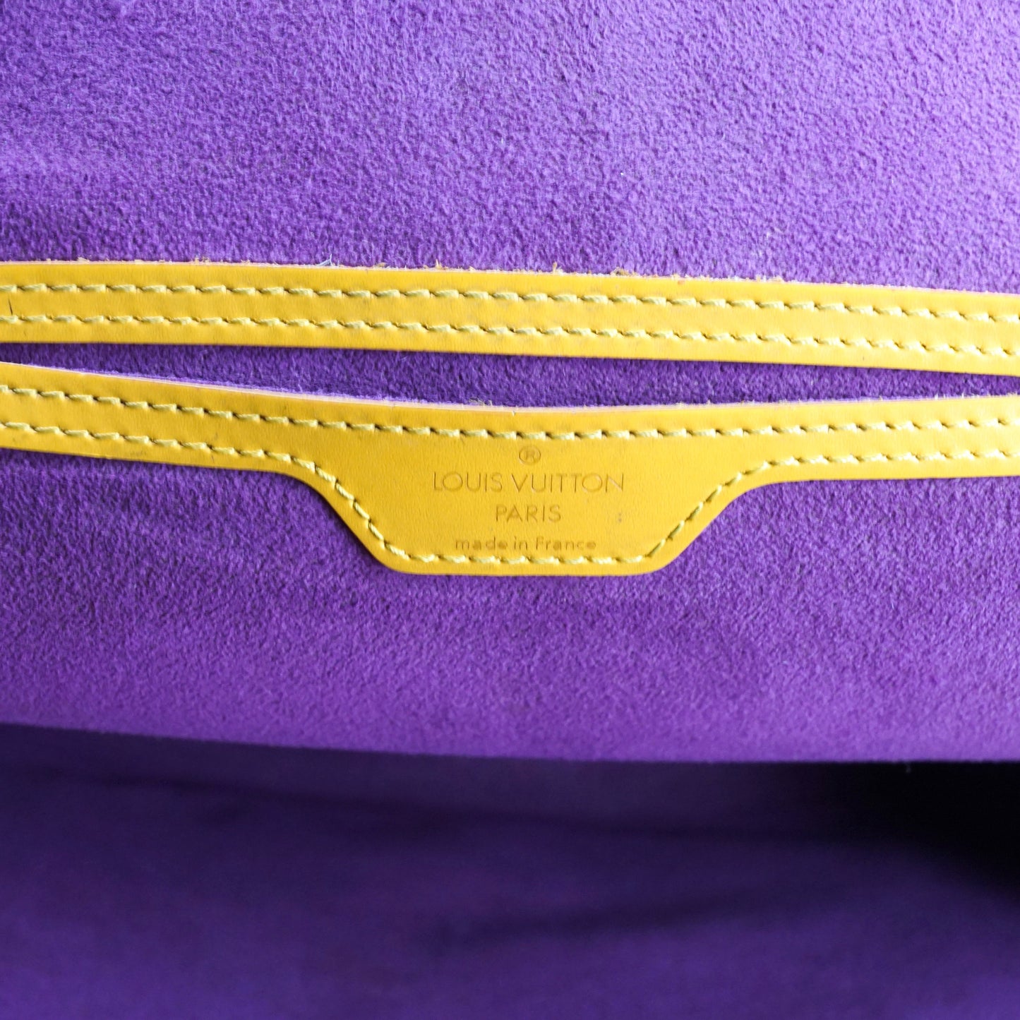Louis Vuitton Gobelins Back Pack