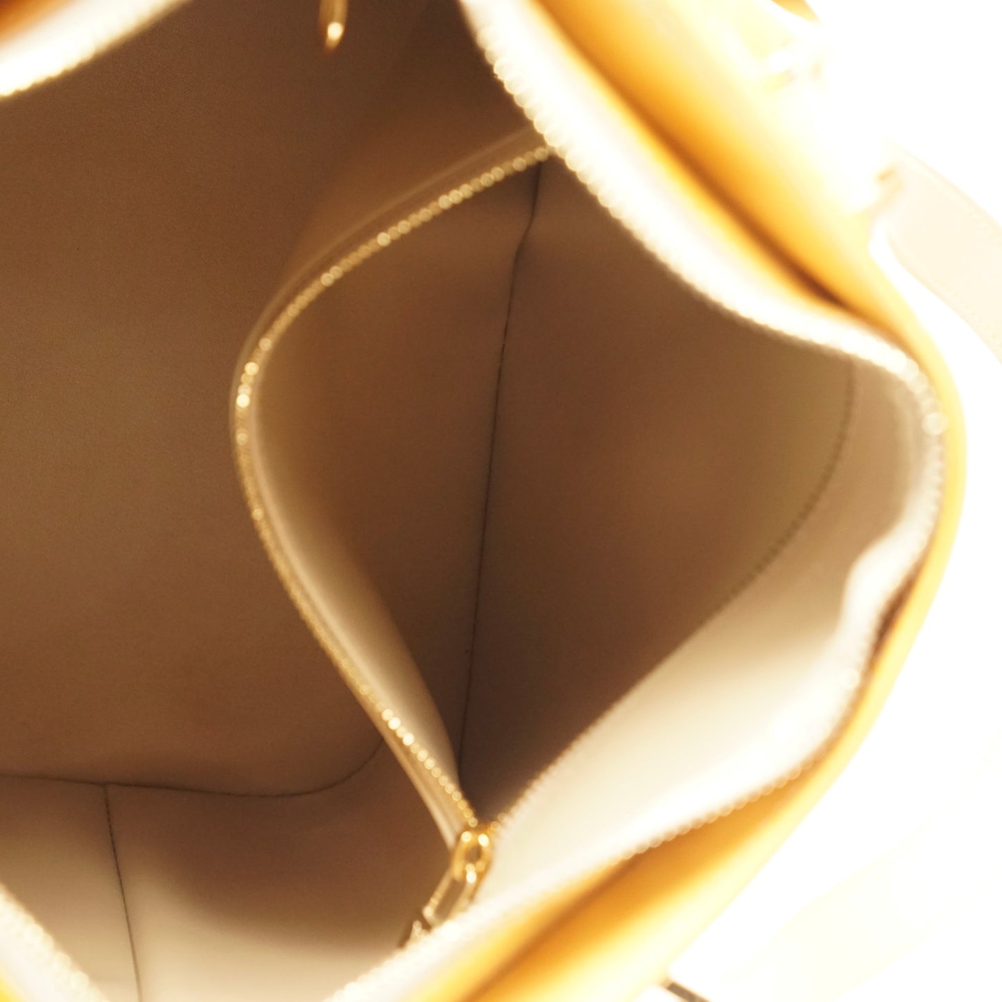 Louis Vuitton Houston Tote Bag