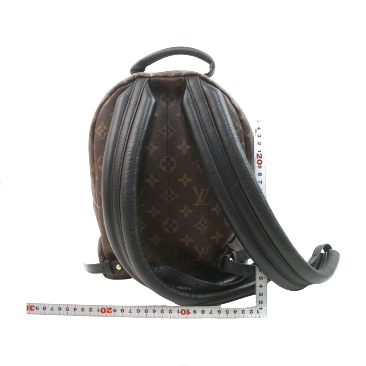 Louis Vuitton Palm Springs Pm