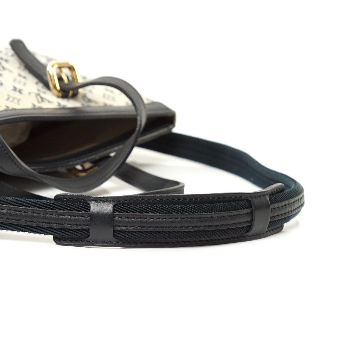 Louis Vuitton Francoise Mini Lin