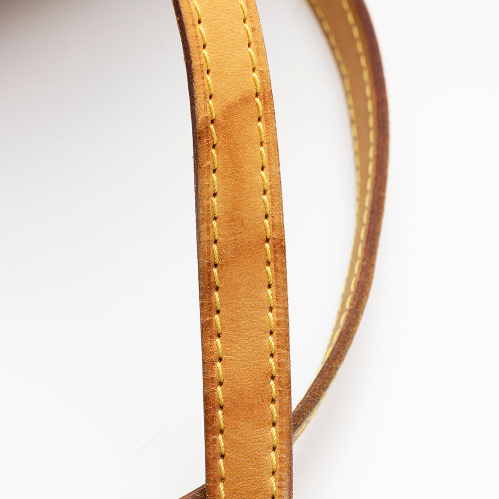 Louis Vuitton Monogram Canvas Montorgueil GM Shoulder Bag (SHF-18142)