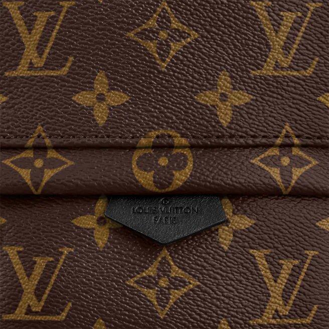 Louis Vuitton PALM SPRINGS MINI