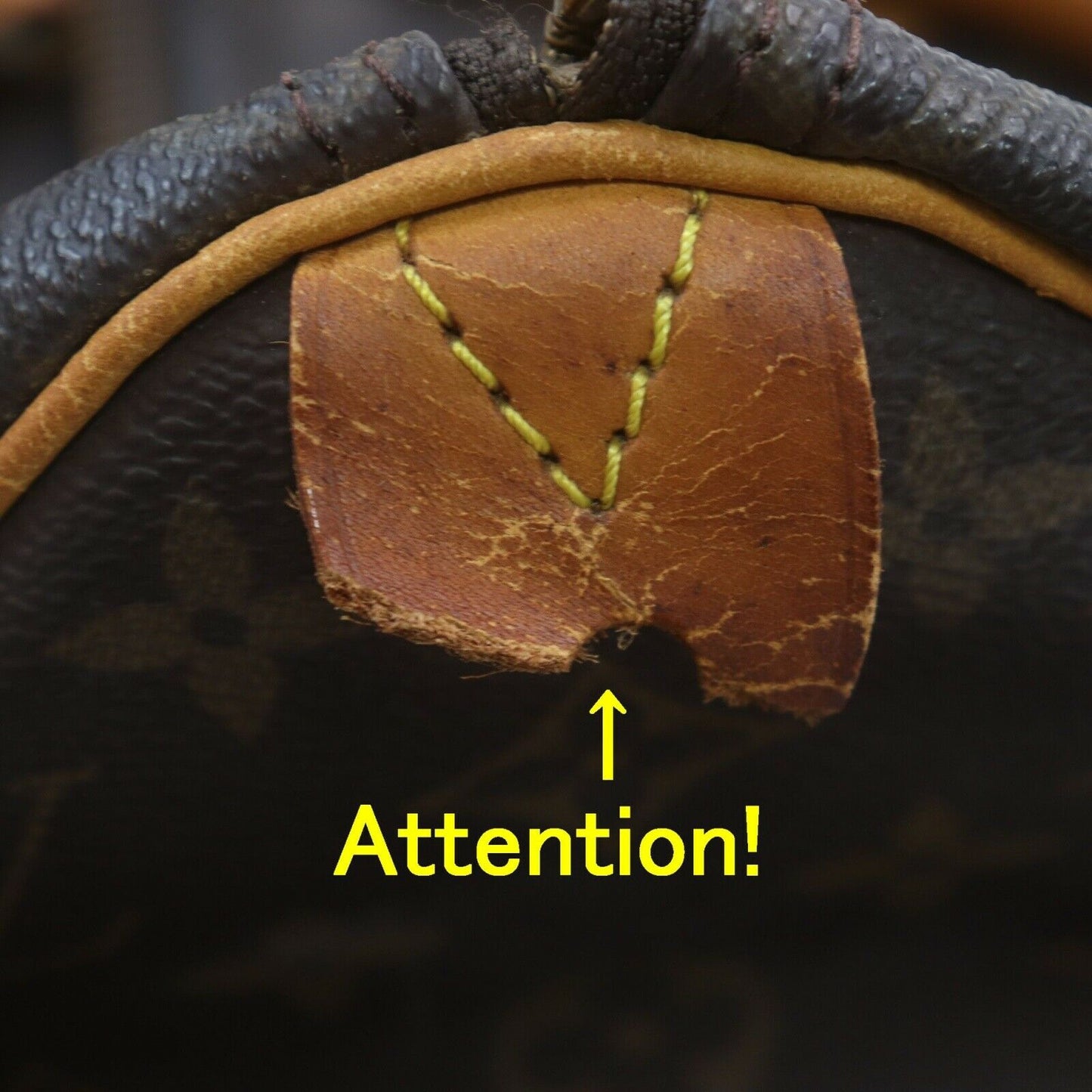 Louis Vuitton Speedy 25 Satchel Bag