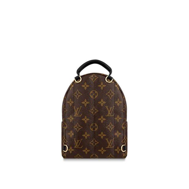 Louis Vuitton PALM SPRINGS MINI