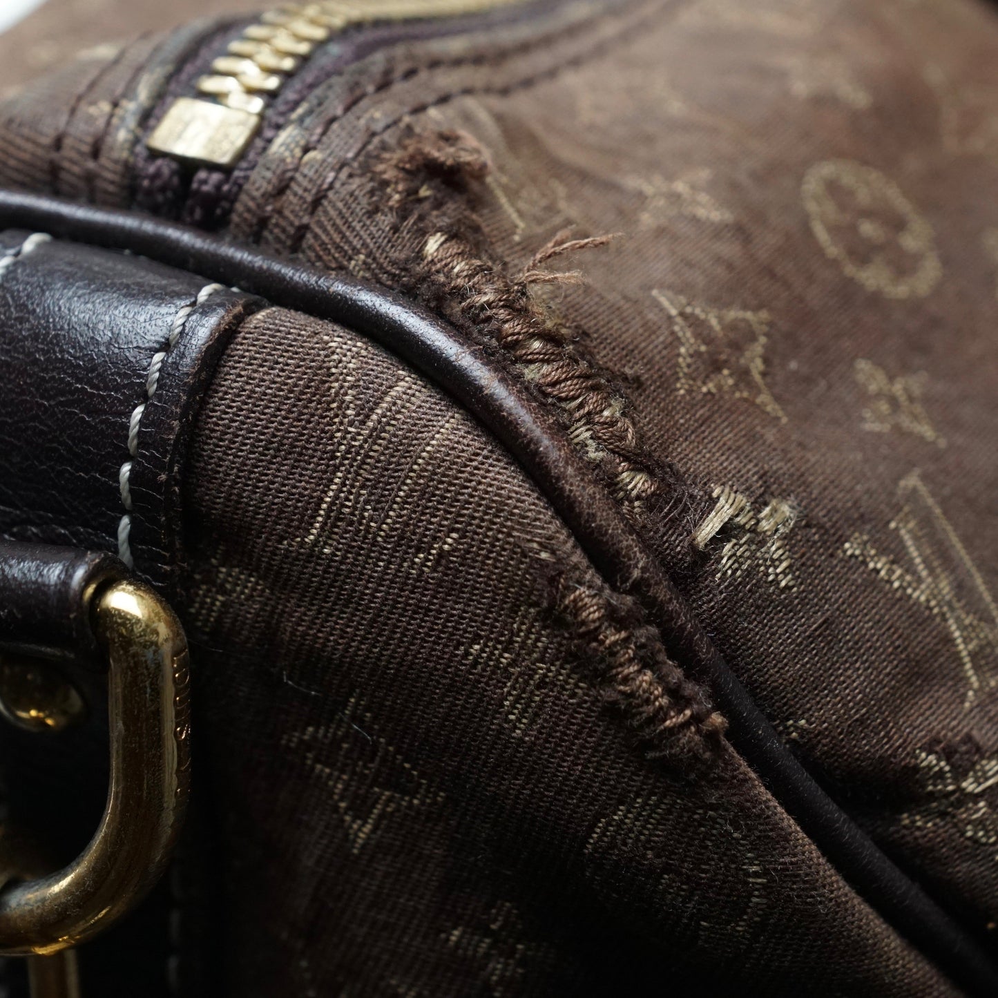 Louis Vuitton Speedy 30 Idylle