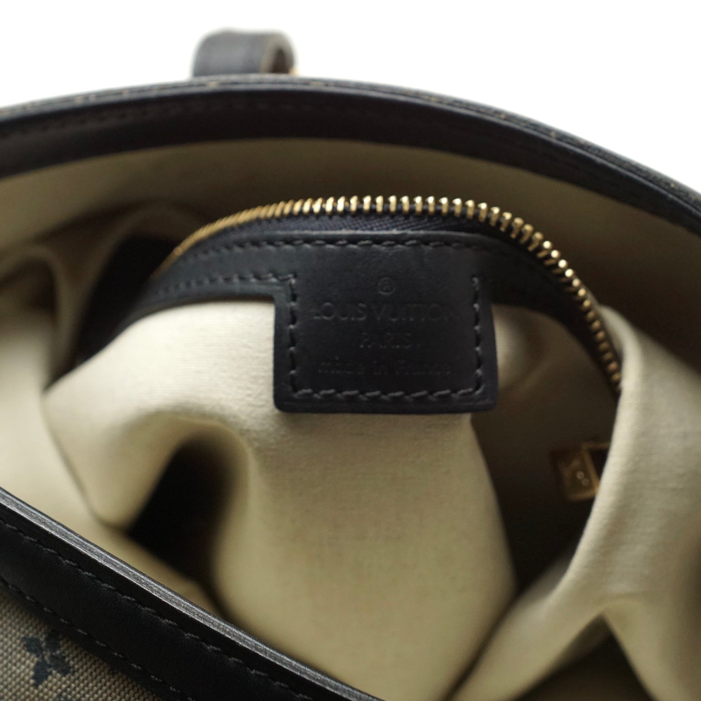 Louis Vuitton Francoise Mini Lin