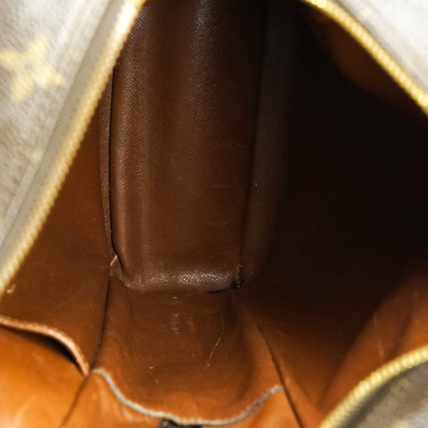 Louis Vuitton Amazon Mm Cross Body Bag