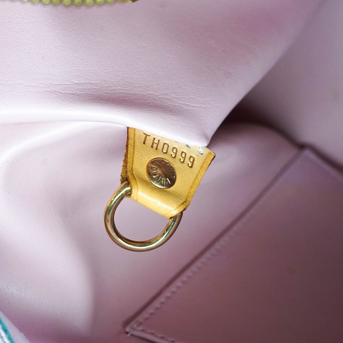 Louis Vuitton Houston Tote Bag