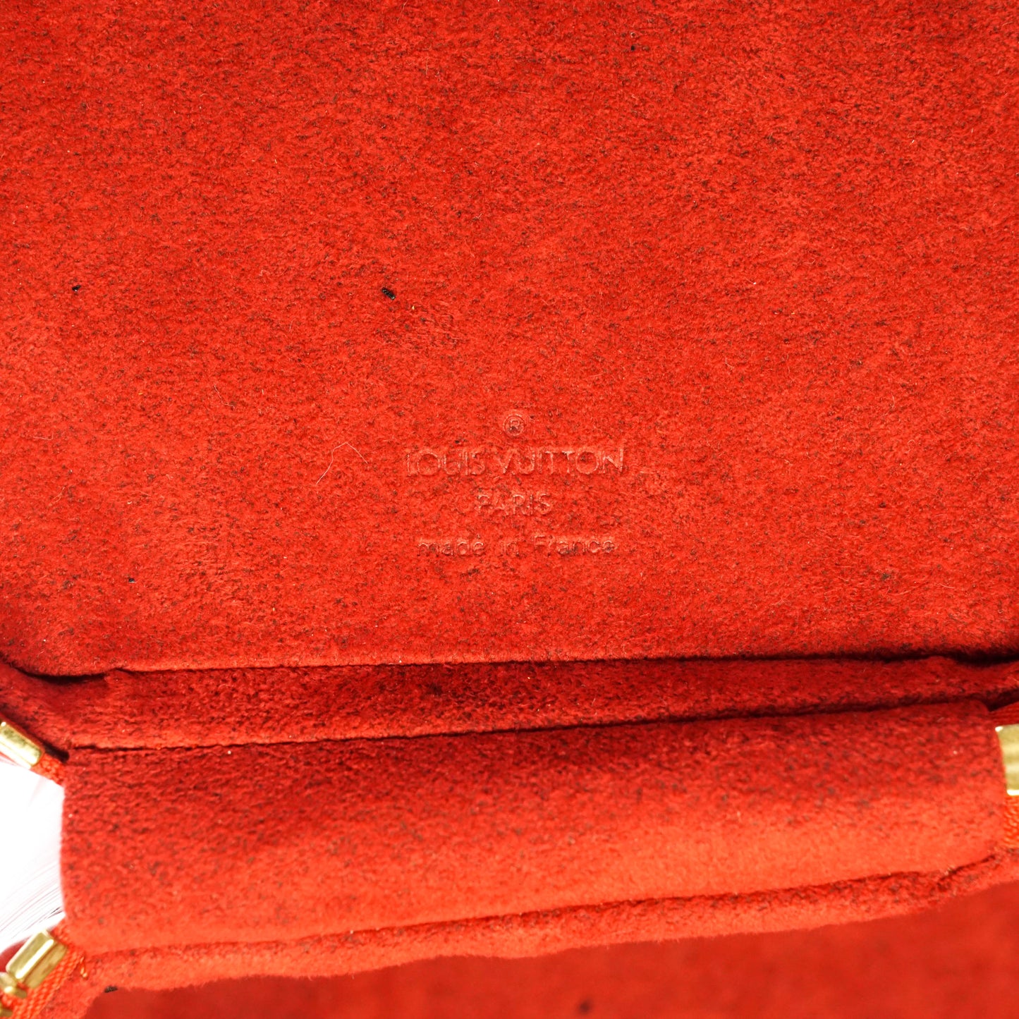 Louis Vuitton Cannes Vanity Bag Epi