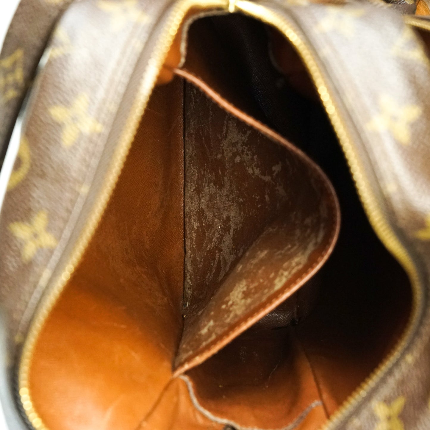 Louis Vuitton Amazon Mm Cross Body Bag