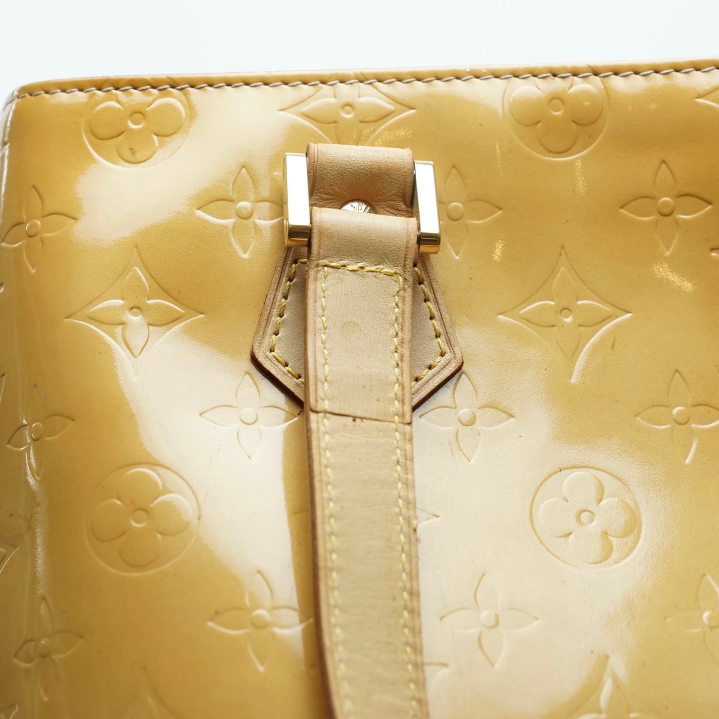 Louis Vuitton Houston Tote Bag