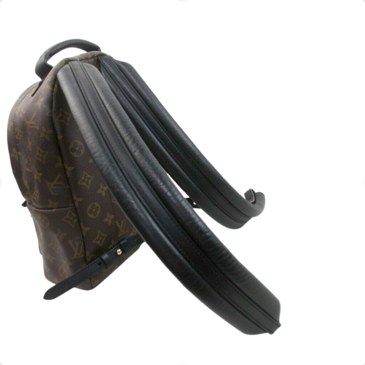 Louis Vuitton Palm Springs Pm