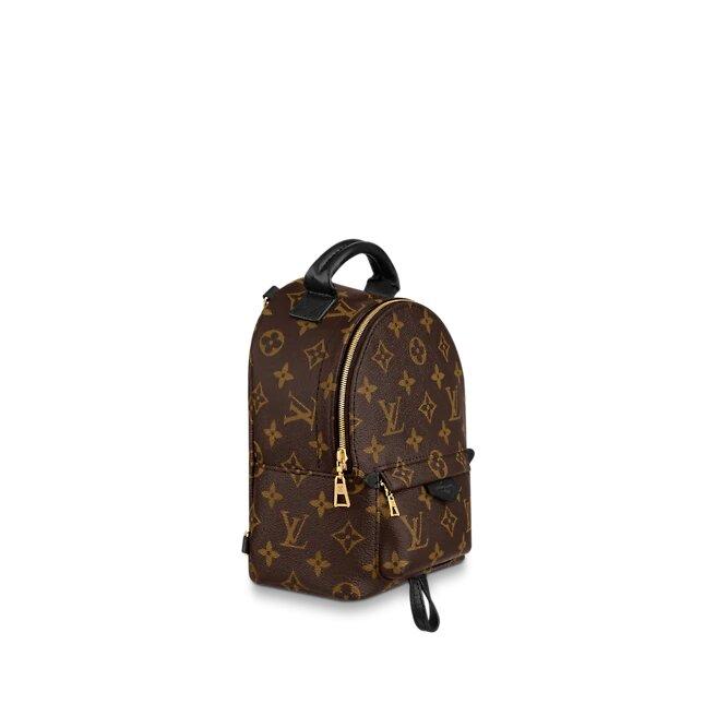 Louis Vuitton PALM SPRINGS MINI