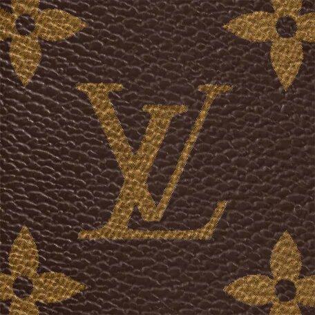 Louis Vuitton PETIT SAC PLAT