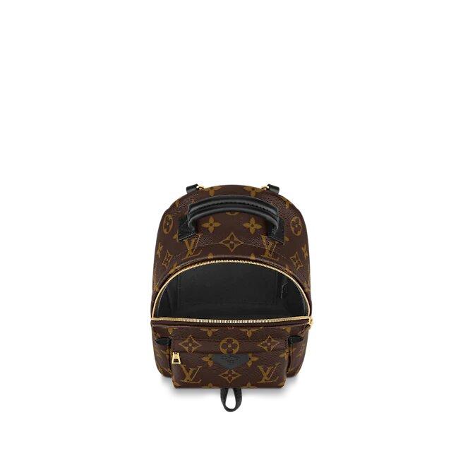 Louis Vuitton PALM SPRINGS MINI
